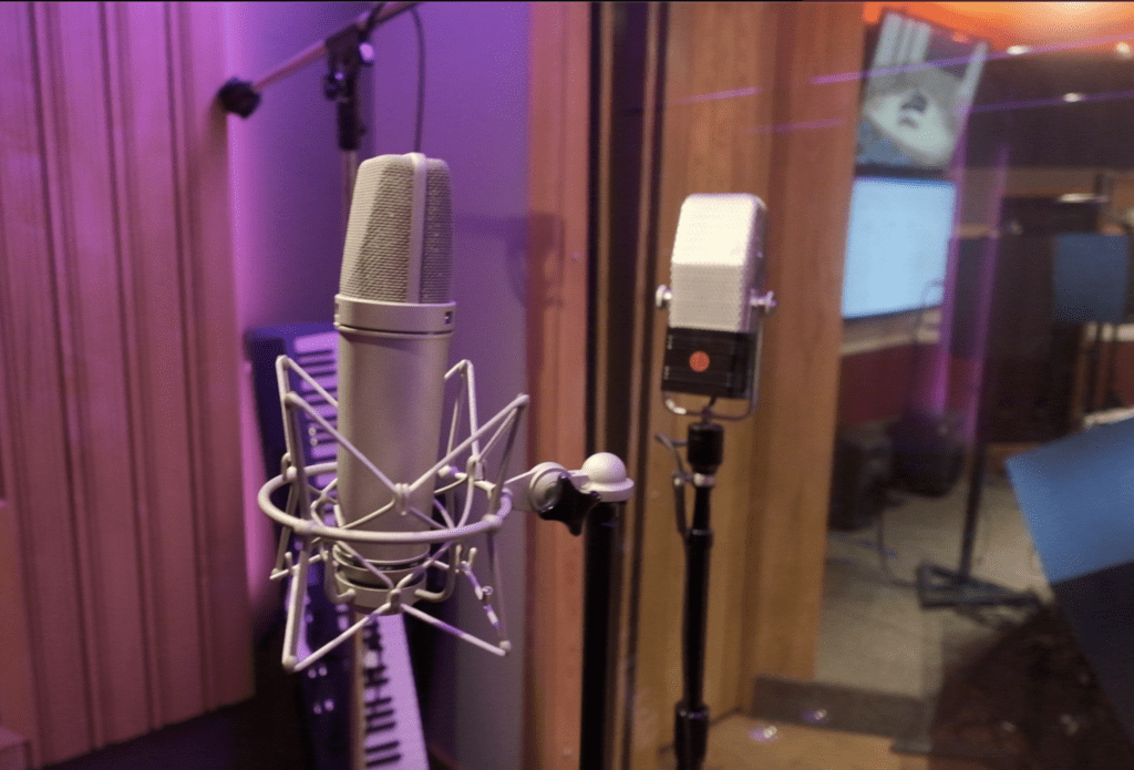 Photograph of two microphones inside a sound booth. 